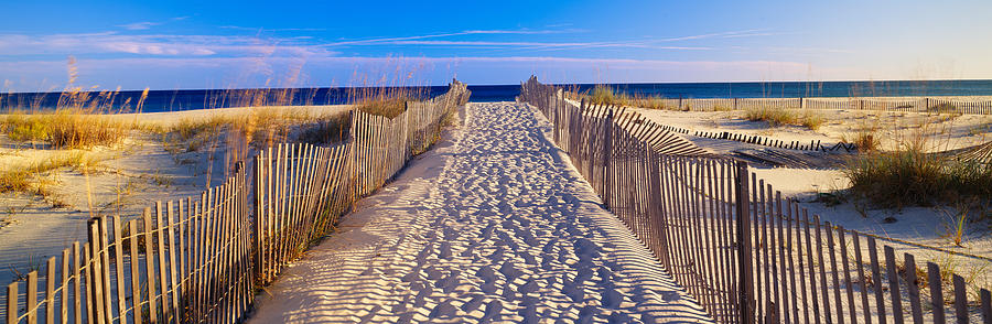 Untitled Header Image